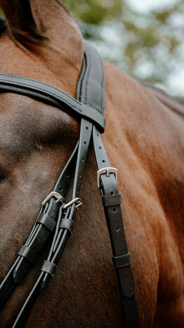 Norton Endurance Hoofdstel Pop