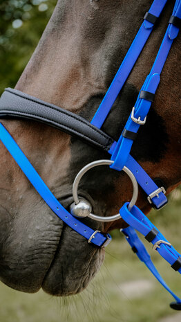 Norton Endurance Hoofdstel Pop