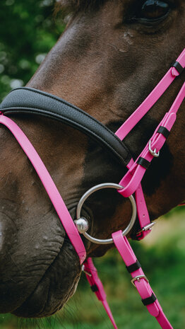 Norton Endurance Hoofdstel Pop