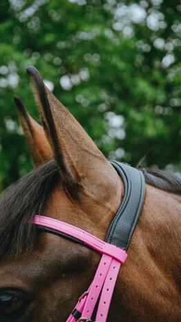 Norton Endurance Hoofdstel Pop