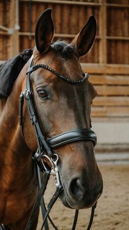 Norton Stang Trens Hoofdstel Onyx