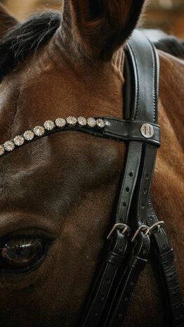 Norton Hoofdstel Diams