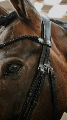 Norton Hoofdstel Royal