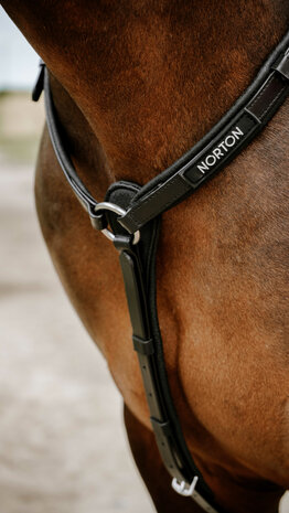 Norton Endurance Borsttuig Pop