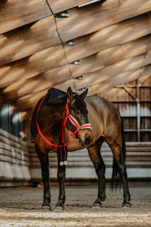 EquiTheme Halsterset Kerst