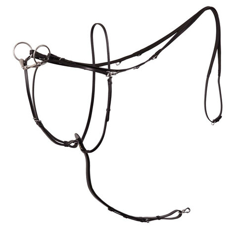 BR Thiedemann Teugel Lancaster