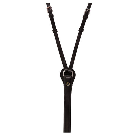 BR Thiedemann Teugel Lancaster