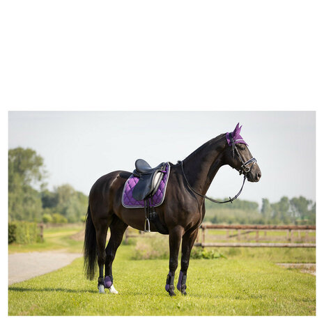 BR Event Peesbeschermers