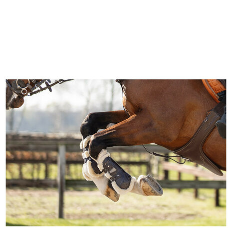 BR Peesbeschermers Urban Comfort