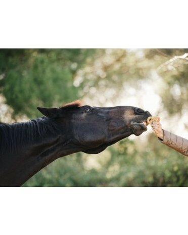 Candy Horse Snoepjes Kruidenpretzels