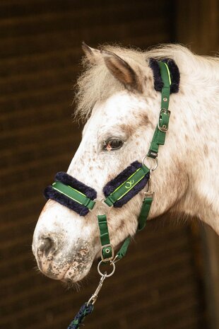 Harry’s Horse Halsterset Soft STOUT! Lime