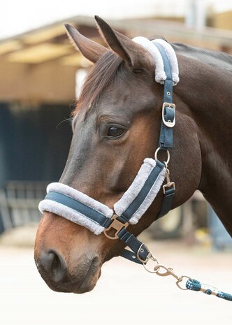 Harry’s Horse Halsterset Just Ride Retro Soft