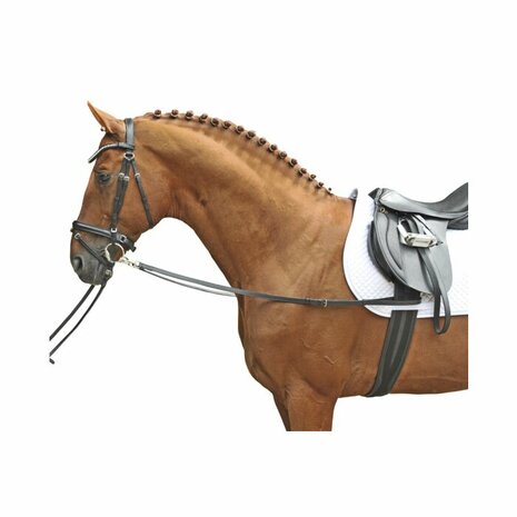 HKM Leren Bijzetteugels