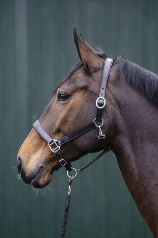 HKM Leren Halster Economic