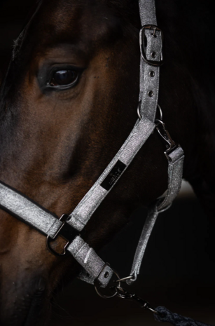 Mrs. Ros Haltersset Festive