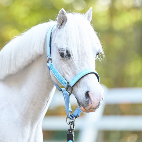 HV Polo Halster Nena