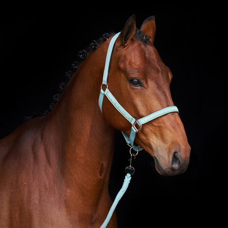 HV Polo Halster Nena