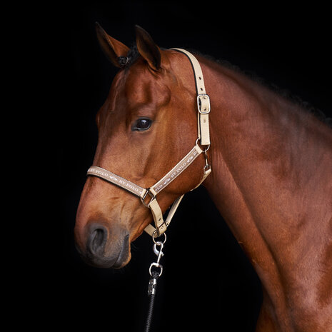 HV Polo Halster Nena