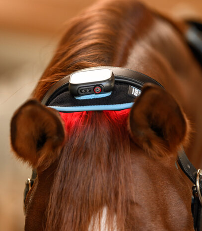 Waldhausen Health + Care Infrarood FlexPad​​​​​​​