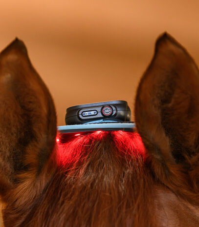 Waldhausen Health + Care Infrarood FlexPad​​​​​​​