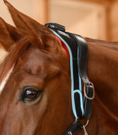 Waldhausen Health + Care Infrarood FlexPad​​​​​​​