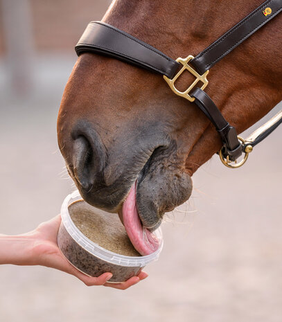 Waldhausen StableSnack Likemmer 650 g