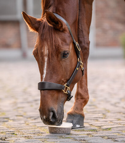 Waldhausen StableSnack Likemmer 650 g