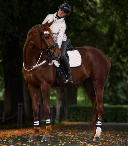 Waldhausen Reflecterend Zadeldek