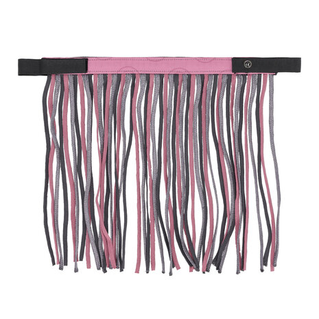 QHP Vliegenfrontriem Collection