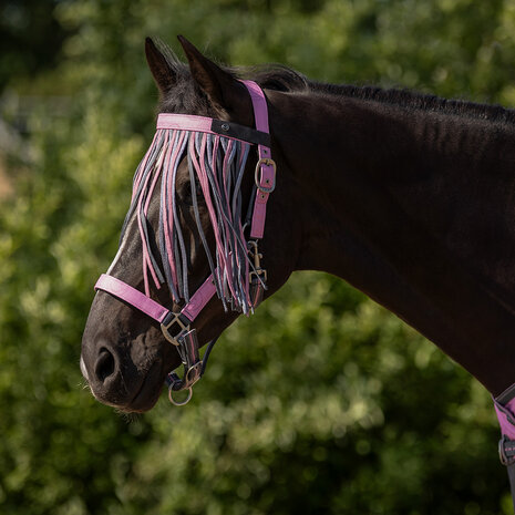 QHP Vliegenfrontriem Collection