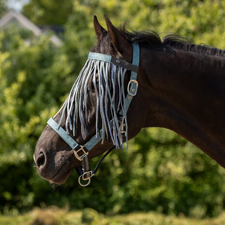 QHP Vliegenfrontriem Collection