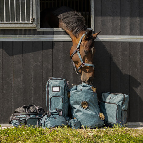 QHP Poetstas Collection