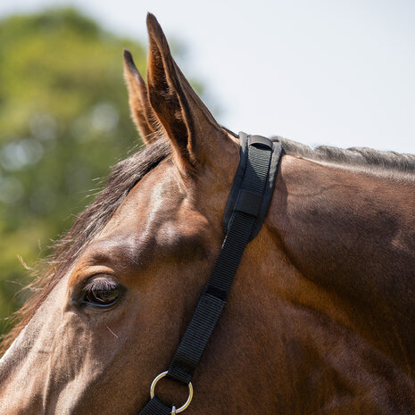 QHP Graasmasker Bont met Neusgaten