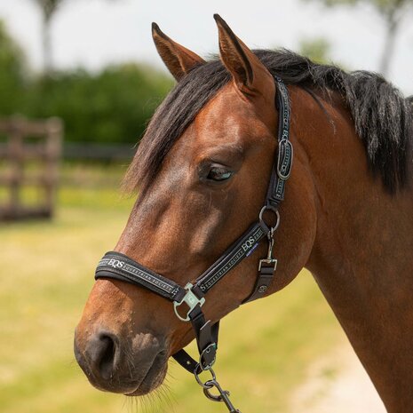 Harry&rsquo;s Horse Halsterset Equestrian Society