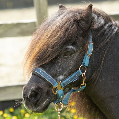 Harry&rsquo;s Horse Halsterset Crystal