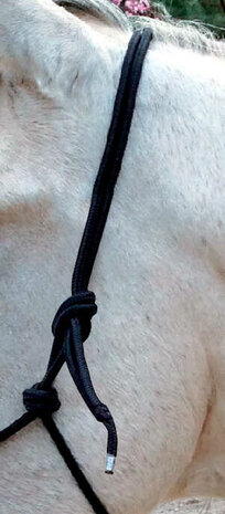 Norton Touwhalster met Teugels