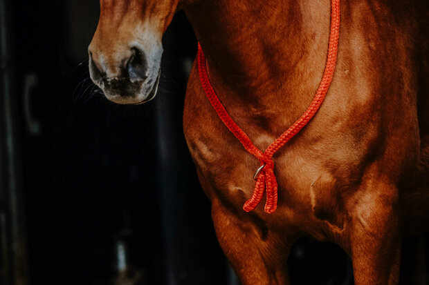 Norton Neckrope