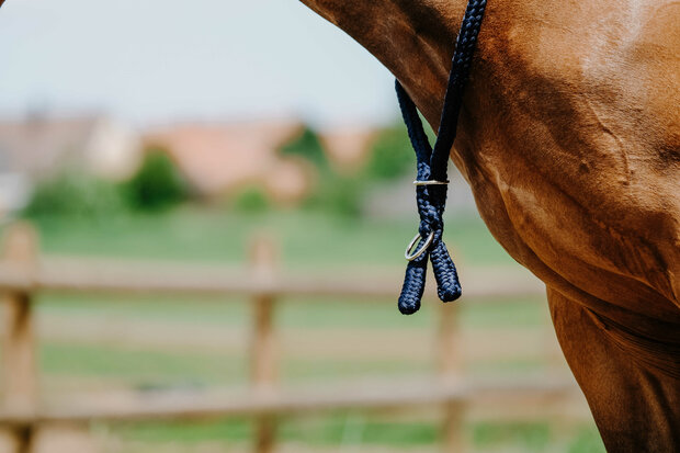 Norton Neckrope