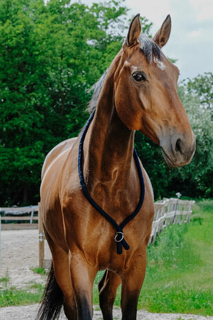 Norton Neckrope