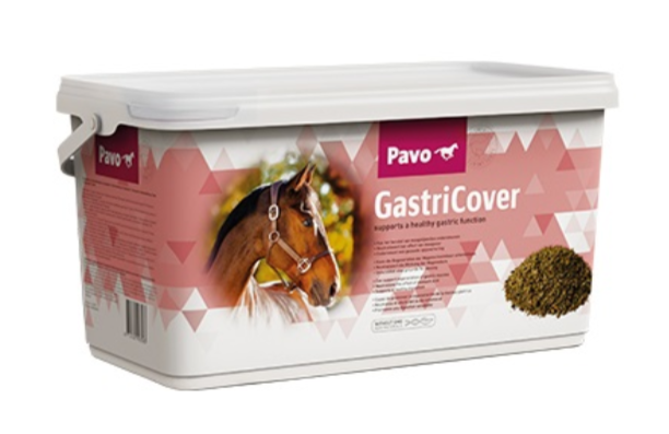 Pavo GastriCover
