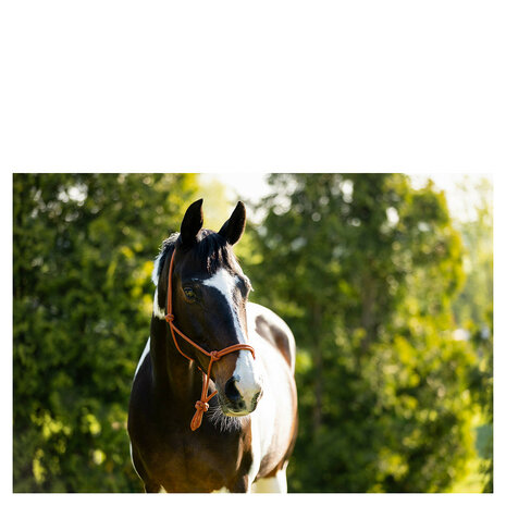 BR Touwhalster Klara