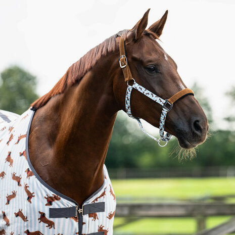 QHP Halsterset Stable Buddy Dachshund