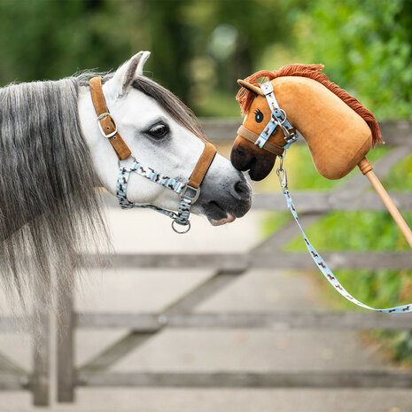 QHP Halsterset Stable Buddy Dachshund