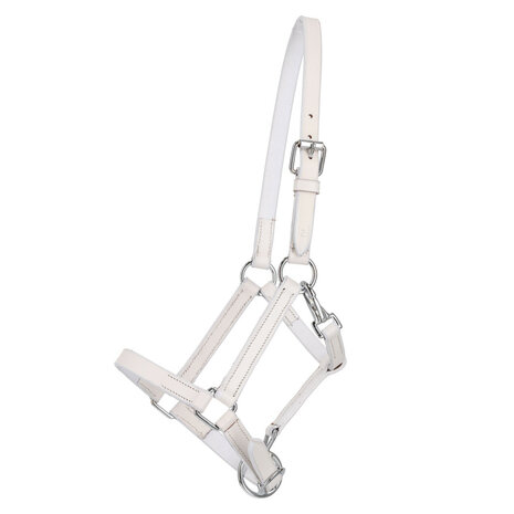 QHP Leren Veulenhalster met Clip