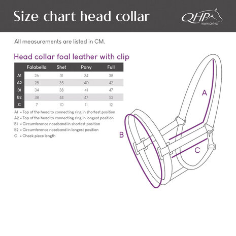 QHP Leren Veulenhalster met Clip