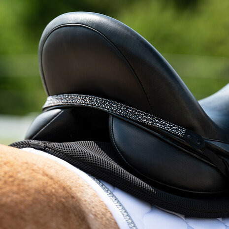 QHP Zadelsieraad Lagos