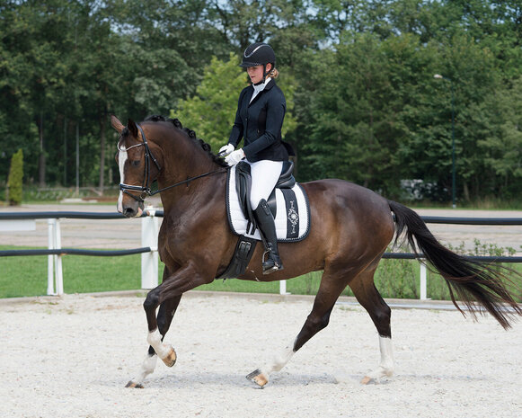 QHP Wedstrijdjas Nov&egrave;n