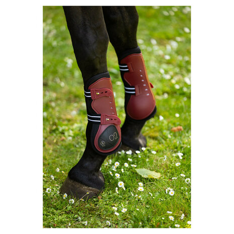 BR CLX XO2 peesbeschermers