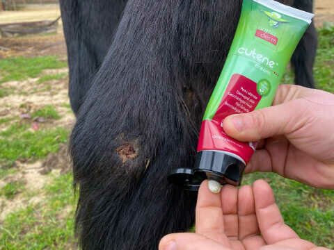 Animaderm Cutene Herstellende Cr&egrave;me