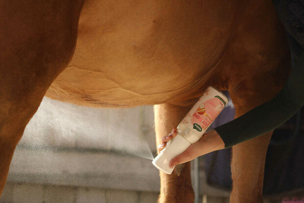 Ravene Easy Shine Intens Antiklit Spray Navulling 500 ml